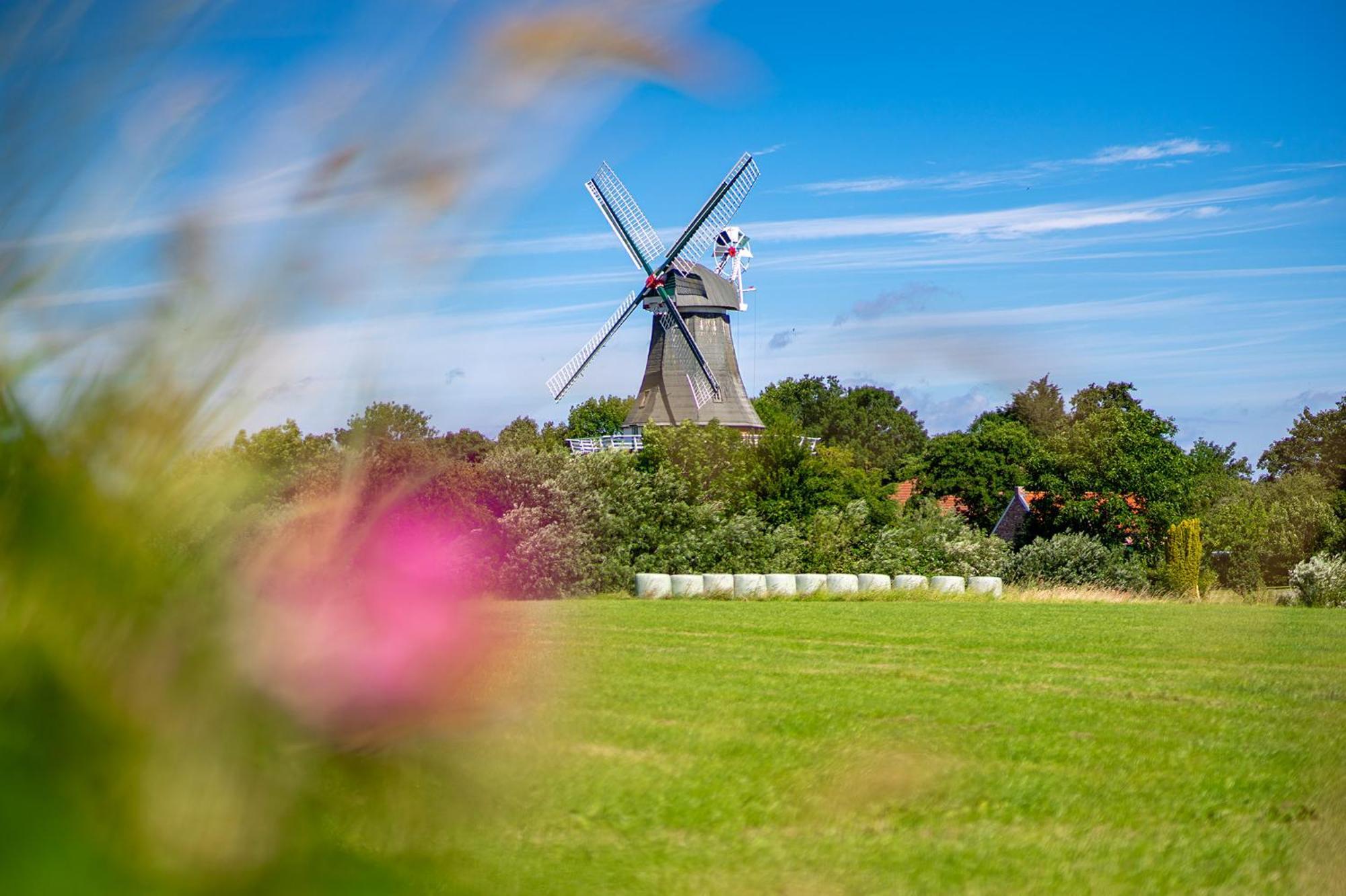 Deichblick Villa Greetsiel Exteriör bild